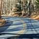 Illustration for article titled What Makes A Great Road?